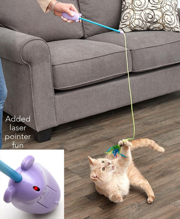 Spot Laser and Feather Teaser Wand Cat Toy Assorted 12 in - Petsplace.store