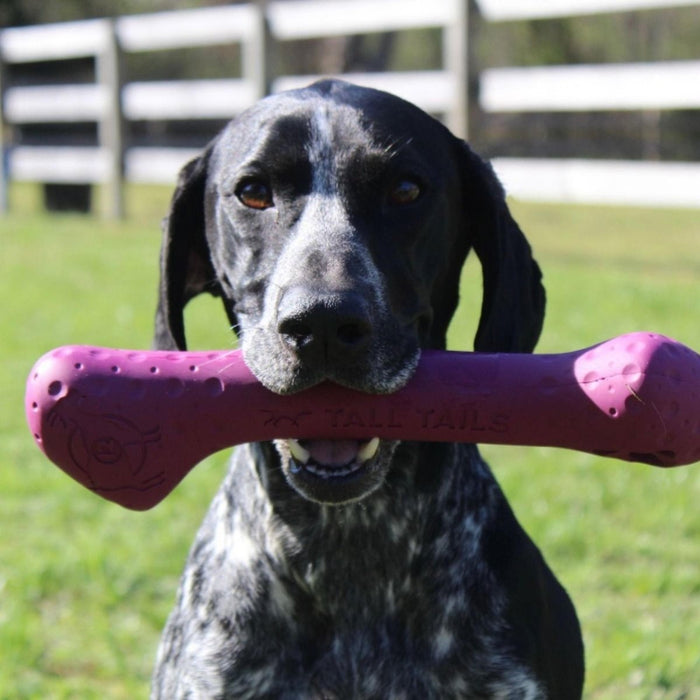 Tall Tails Dog Goat Bone Purple 12 Inch - Petsplace.store