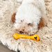 Tall Tails Dog Goat Bone Yellow 6 Inch - Petsplace.store