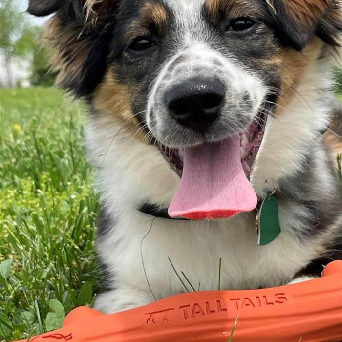 Tall Tails Dog Goat Fetch Stick Orange 10 Inch - Petsplace.store