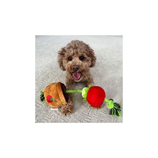 Territory Dog Treat Tug Tomato 15 Inch - Petsplace.store