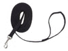 Train Right Cotton Web Training Dog Leash Black 1ea/5/8 In X 15 ft - Petsplace.store